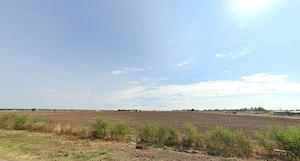 Teren de vanzare - 10.000 mp I Balotesti I Gata de construit I - imagine 2