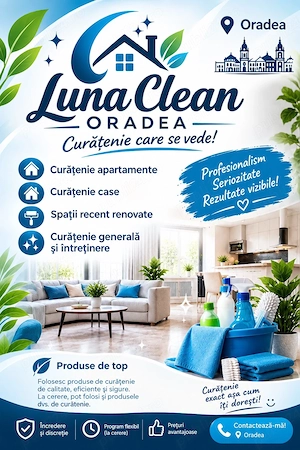 Curatenie la Domiciliu 