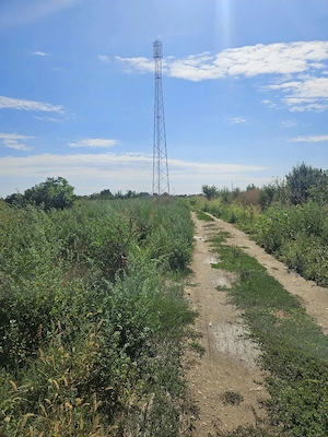 Teren de vânzare 3.774 mp  Copăceni, Ilfov - imagine 5