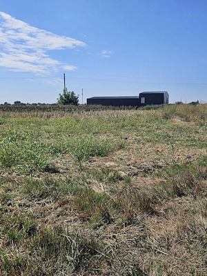 Teren de vânzare 3.774 mp  Copăceni, Ilfov - imagine 3