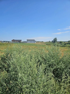 Teren de vânzare 3.774 mp  Copăceni, Ilfov - imagine 8