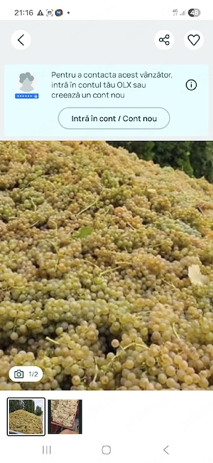 ofer spre vanzare struguri de vin avem toate soiurile disponibile transport an toata tara  nr tel 07