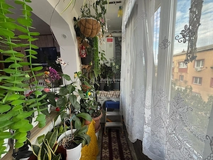 Caransebes, 3 Camere, Cf.,1. Dec., Zona Pipirig Polivalenta - imagine 10