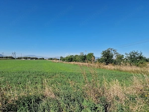Teren Sanpetru str.Lanul cu Lavanda - imagine 4