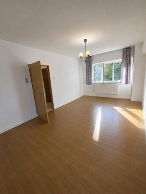 Apartment Brazda lui Novac - imagine 4