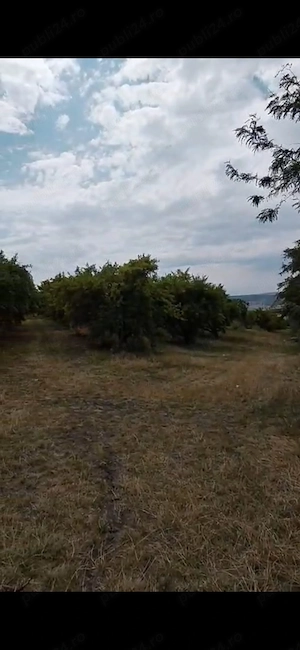 2euro mp livadă pe rod la stradă ...jud Vaslui  - imagine 7