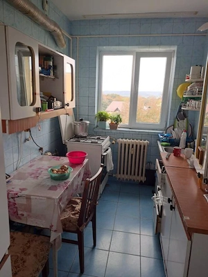 Apartament 2 camere Trivale - imagine 4