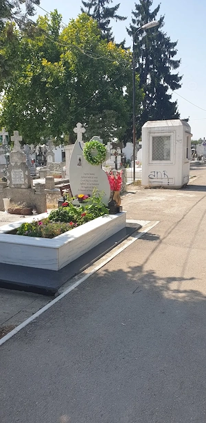 Loc concesiune în Cim.Bolovani.