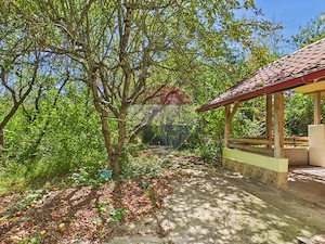 Casă P+1 cu teren, livadă și vie – Pucioasa| Acces facil Sinaia - imagine 9