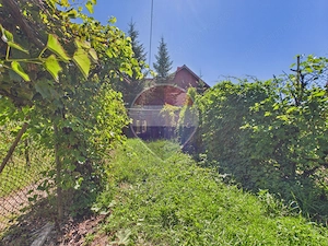 Casă P+1 cu teren, livadă și vie – Pucioasa| Acces facil Sinaia - imagine 20