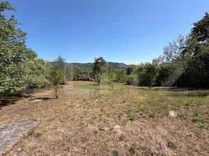 Casa 85 mp, teren 2.235 mp, zona Brad - imagine 8