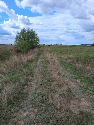 Teren extravilan , Strada Sticlelor , Punct Stubeu - imagine 5