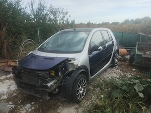 Vand piese Smart forfour 