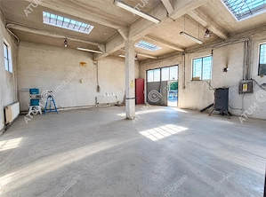 Casa si hale industriale - 475 mp utili in Cisnadie langa Sibiu
