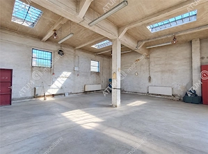 De inchiriat spatii industriale - hale 300 mp utili in Cisnadie - imagine 5