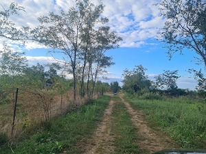 Vând teren de 2700 mp cu casă bătrânească - imagine 8