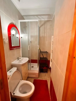 Garsonieră Tudor Vladimirescu (Iulius Mall), etaj 3, renovată, centrală termică și aer condiționat - imagine 4