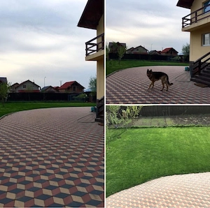   Casă+Pensiune 2 corpuri, 1.300 mp teren, Sânpetru Central - imagine 10