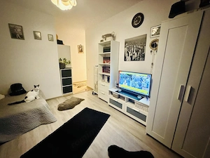 Apartament 2 camere Str Tineretului mobilat și utilat complet zona liniștită  - imagine 14