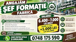 Sef formatie- fabrica