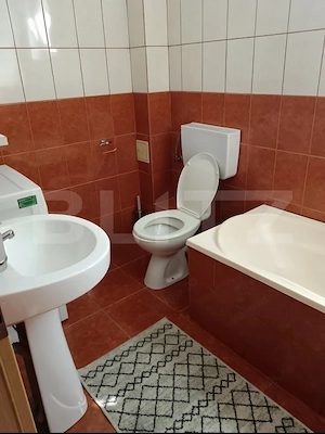 Apartament cu o camera, 48 mp, pet friendly, zona Iris - imagine 3