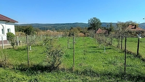Casă tradițională renovată  - imagine 10
