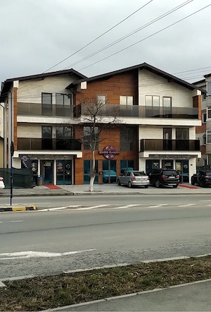 Spatiu comercial