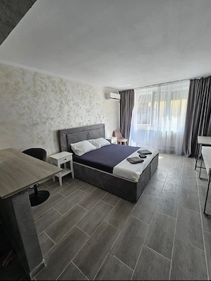 regim hotelier - imagine 4