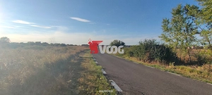 Teren intravilan Sacalaz de vanzare