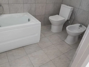 Bulgarus [Lenauheim] - Casa 3 Camere -Teren Generos - imagine 7