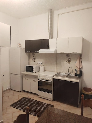 Apartament 1 camera, bucatarie, baie si  hol, mobilat, utilat  si cu gradina - imagine 4