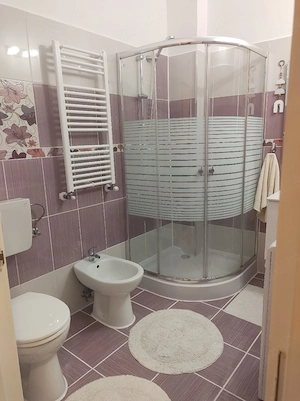Apartament 1 camera, bucatarie, baie si  hol, mobilat, utilat  si cu gradina - imagine 5