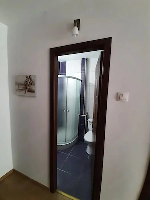 Apartament, luminos si spatios, spre inchiriere, aproape de UMFST - imagine 4