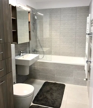 in TULCEA centru ofer in chirie apartament cu 2 camere