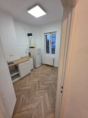 Închiriere 3 camere Unirii, Coposu, etaj 2, centrala, 100 mp, pretabil Birou - imagine 10