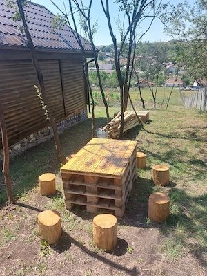 Casa din lemn + 29 de arii teren intravilan - imagine 10