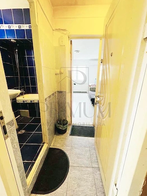 BLASCOVICI - 1 CAM  - APARAT DE AER CONDITIONAT - MOBILAT - ZONA LINISTITA - imagine 6