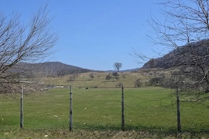 Teren Râmnicu Valcea - Daesti - 82000 mp - Panouri ferme fonduri europene - imagine 3