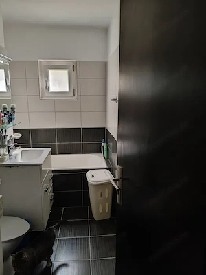 3 cam cf 1 2 bai boxa etaj 2 zona Lipovei - imagine 7