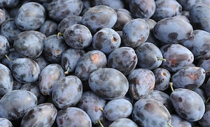 Prune din pruni ne altioti batrinesti la 2,40