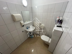 Casa SAD, 650 mp, Zona Elisabetin - imagine 16
