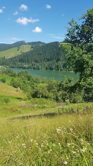 Teren cu acces direct la lac Bicaz - imagine 2