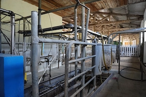 Urgent!!! Saivan de vaci lapte carne de 800mp complet utilat in com Breaza, Sv - imagine 10
