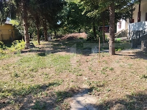 Casă renovată cu farmec istoric, livadă și 3.600 mp de teren | Teiș  - imagine 19