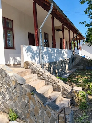 Casă renovată cu farmec istoric, livadă și 3.600 mp de teren | Teiș 