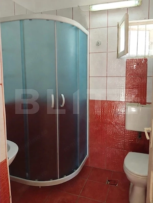 Casă renovată cu farmec istoric, livadă și 3.600 mp de teren | Teiș  - imagine 10