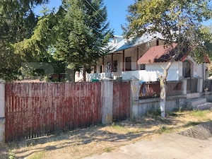 Casă renovată cu farmec istoric, livadă și 3.600 mp de teren | Teiș  - imagine 12