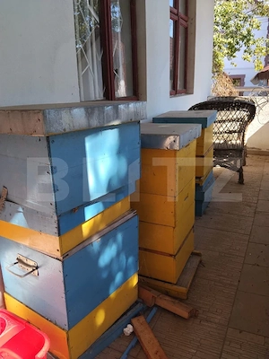 Casă renovată cu farmec istoric, livadă și 3.600 mp de teren | Teiș  - imagine 14