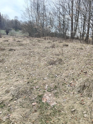 Teren extravilan in comuna Musatesti, sat Valea lui Maș , jud Arges  - imagine 4