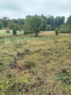 Teren extravilan in comuna Musatesti, sat Valea lui Maș , jud Arges  - imagine 2